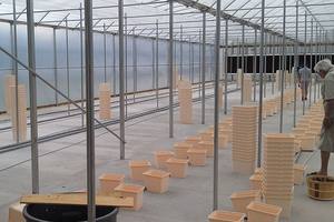 Sistemas de cultivo hidropónico de tomate de cubo holandés de plástico para cultivo en aguas profundas - Product Image 4