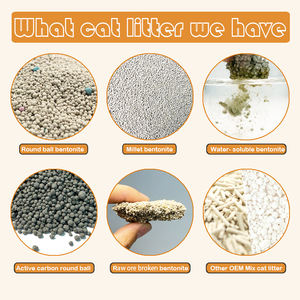 Keluaran baru kemasan ekspor penyerap cepat 2.5kg kotoran kucing tahu daun teh rusak - Product Image 6