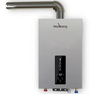 Professional After Sales Mature Technology All Weather Instant Heat Type Gas Water Heater