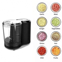 265354 2025 nouveau Design électrique de qualité alimentaire oignon ail viande légumes fruits hachoir 700ml 3 tasses électrique hachoir mélangeur