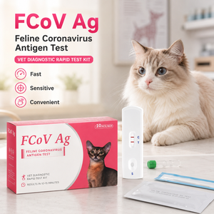 Kit de Prueba de Antígeno de Micoplasma Pneumoniae Felino, Cassette de Diagnóstico Rápido MP Ag, Detección Respiratoria, Muestra Gratuita, Exportación OEM - Product Image 3