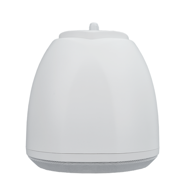 OBT-205 Professional 100v Pendant Speaker With Spherical Loudspeakers Hanging Speaker Waterproof