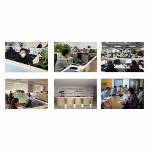 Asociación de la agencia: SOP CZSKU:CX410RFF35 - Product Image 4