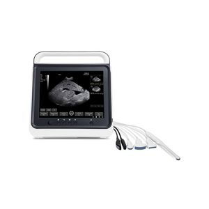 เครื่องอัลตราซาวด์แบบพกพา Vet Touch B/<span class=keywords><strong>W</strong></span> รุ่น MSLVU40 <span class=keywords><strong>Plus</strong></span> สำหรับสัตว์ - Product Image 1