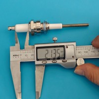 Électrode d'allumage en céramique d'alumine neuve pour machine CNC, accessoires de brûleur de chaudière à gaz