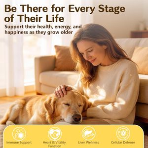 Complément alimentaire en poudre 5 en <span class=keywords><strong>1</strong></span> <span class=keywords><strong>pour</strong></span> animaux de compagnie avec chardon-marie, poudre nutritionnelle <span class=keywords><strong>pour</strong></span> chiens et chats, étiquette privée OEM disponible, 120g - Product Image 6