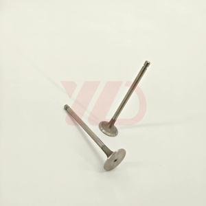 Pièce de rechange pour moteur diesel de machine, systèmes d'admission, soupape d'admission 6L C4981794 4981794 <span class=keywords><strong>C3942588</strong></span> 3942588 5307875 pour Cummins - Product Image 1