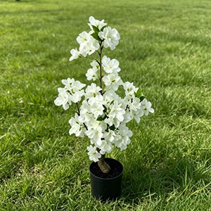 Rama floral de sakura en colores pastel suaves y ensueñadores con pétalos esponjosos en capas para decoración de eventos, escaparates, interiores de hogar, estilo romántico y natural. - Product Image 5