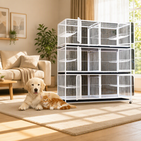 Vente en gros : Cage Geshifeng Factory Group avec cloison intégrée, maison pour oiseaux, chat, chien, chiot, chaton
