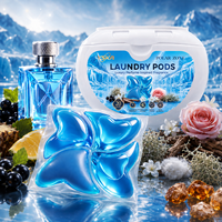 Capsules de lessive Premium Choice Blue 8X, puissance nettoyante élevée, parfum fin longue durée, écologiques, jetables, soin des couleurs, usage commercial