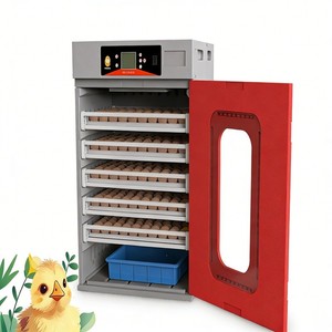 Vente directe d'usine, incubateur à œufs à énergie solaire avec chargeur, incubateur à œufs électrique indépendant pour les zones éloignées. - Product Image 2