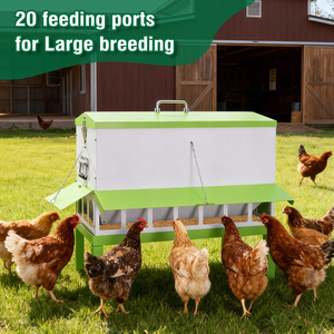 Équipement agricole Mangeoire à poulets Mangeoire automatique pour volailles Poulet <span class=keywords><strong>Canard</strong></span> Oie Mangeoire à poulets Mangeoire à aliments pour volailles - Product Image 5