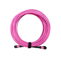 Cordon de brassage fibre optique MPO vers MPO OM4 MPO-12B-OM4-LSZH pour centre de données, garantie 3 ans