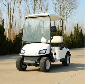 Carritos de Golf Eléctricos de 2 Plazas, Modelo Popular, Personalizados, Todoterreno, Vehículo de Recepción, Carrito de Golf de Patrulla para Uso en Carreteras No Públicas - Product Image 1