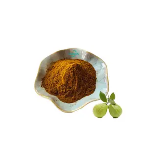 Fabricante Psidium Guajava Leaf Powder Extracto de hoja de guayaba de alta calidad