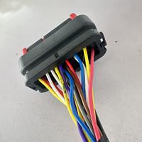 Set Kabel Harness Mobil Otomotif Lengkap, Kabel Listrik Golf Cart, Set Kabel Harness OEM/ODM, Produsen Kabel Harness Custom