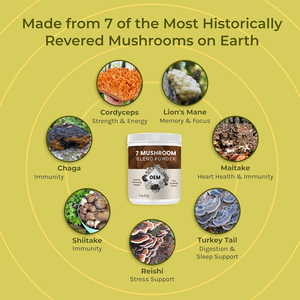 ผงเห็ดเบต้ากลูแคนเกรดอาหาร OEM 8-in-1 ผสมผงเห็ดจากตัวเห็ด 100% บรรจุในถังสุญญากาศ - Product Image 3