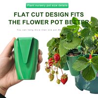 10 pièces racines nues fraise plantes outils de culture fraise semis élevage Pot fraise racines Propagation Station tasse