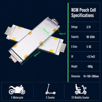 Baterai Isi Ulang TPENERGY E63 3.7V 5C High Rate NMC Lithium Ion Pouch Cell Soft Pack untuk Sepeda Listrik, Sepeda Motor