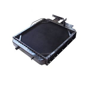 Filtro de Combustible de Fábrica 4110003073003 60100008289 612600081294 5651155 para Cargadora de Ruedas de Construcción - Product Image 4