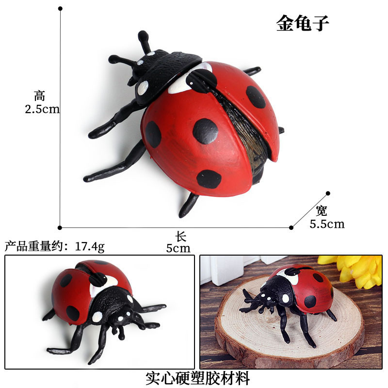 เต่าทองเจ็ดจุด M-658 สีสันสดใส