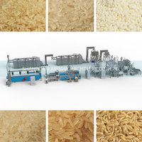 Extrudeuse à double vis Promotion rapide Mangez du riz artificiel Nutrition Machine à riz Usine de machines de production