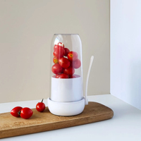 Fabricant professionnel Mini mixeur portable Mixeur portable Lame de mixeur Fruits et légumes Mixeur multifonctionnel