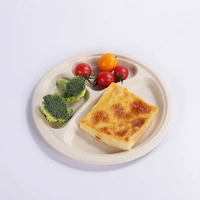 Assiettes jetables en bagasse 100 % compostables, robustes, rondes, à 3 compartiments, écologiques, de 10 pouces, pour les fêtes