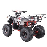 Tao Motor Vente à Chaud Enfants 110cc 125cc Tube en Acier Personnalisé Motos Automatiques 1000cc Polaris Atv Tambour Avant + Tambour Arrière 7 pouces