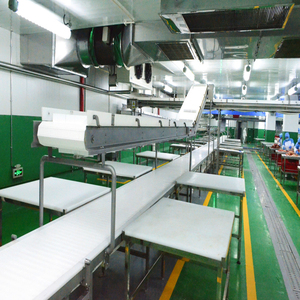 โรงฆ่าสัตว์ปีกสำหรับโรงฆ่าสัตว์พร้อมเครื่องจักรแปรรูปเนื้อสัตว์ - Product Image 3