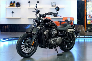 BENDA CHINCHILLA 250 - Product Image 5