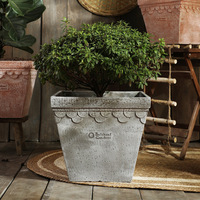 Extra Large Nordic Roman Carré Céramique Citron Bonheur Arbre Magnésium Boue Pot de Fleur Dentelle Jardin Maison Pépinière