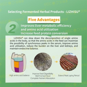 Prémélange d'aliments pour volailles avec acides aminés de qualité alimentaire pour la production d'œufs et la <span class=keywords><strong>croissance</strong></span> des poules pondeuses - Product Image 4