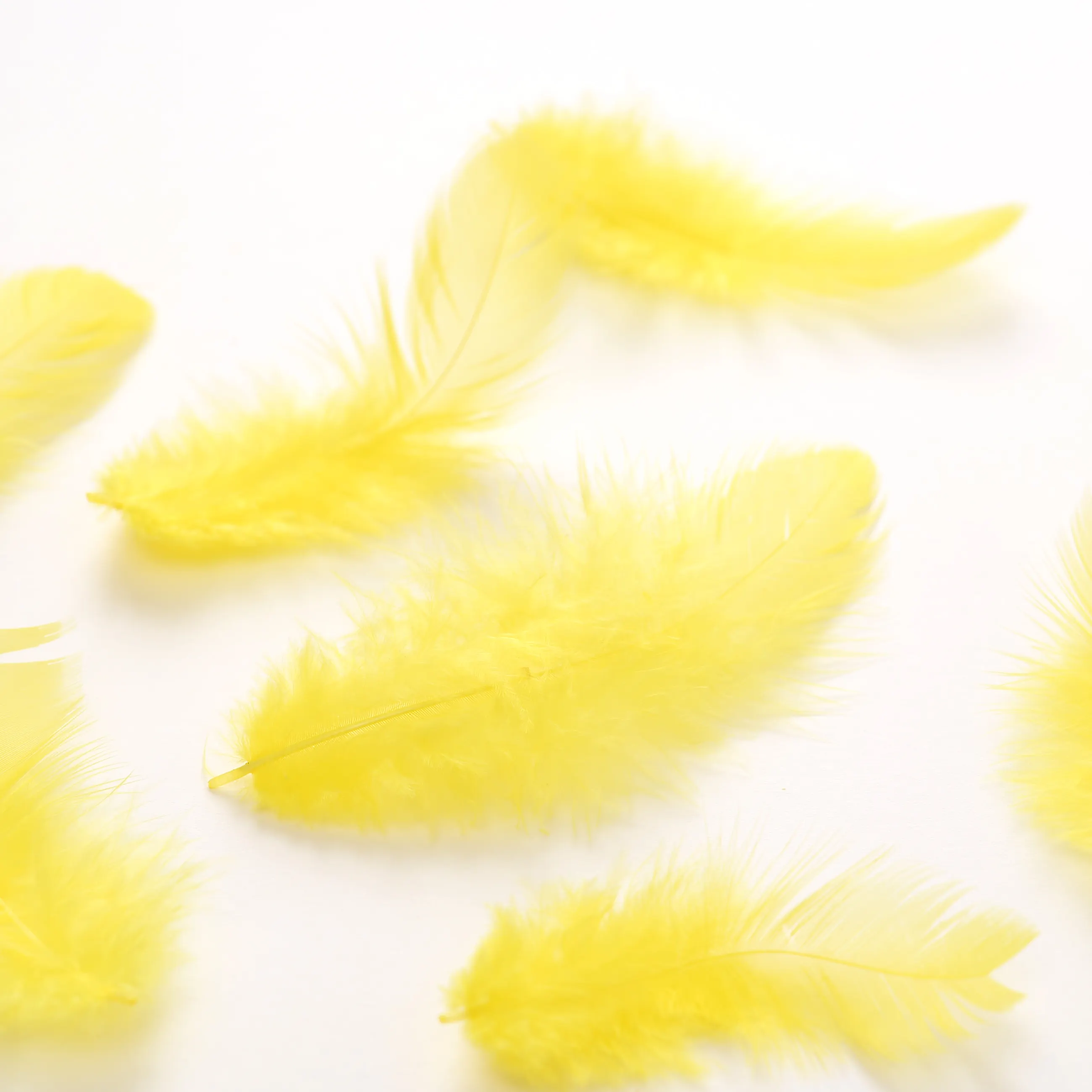 Wholesale craft DIY loose bulk pack colorful small hen feather for ornament making Chicken feather 10g/bag