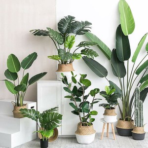 Linwoo Paradise Palm Planta en maceta artificial Certificado UV Material de imitación Tamaño pequeño a grande Bird of Paradise Flower Tree - Product Image 5