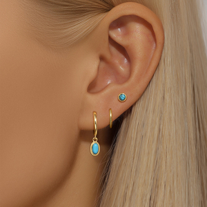 Nouveaux designs S925, ensemble de bijoux tendance, plaqué or 18 carats, boucles d'oreilles à clous en zircon, boucles d'oreilles créoles - Product Image 3