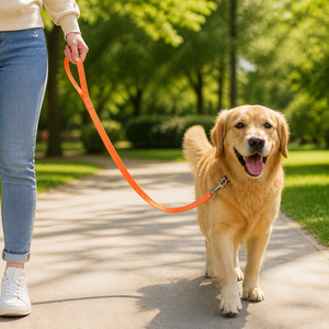 Arnés para mascotas de nailon de diseño básico de un solo color, cómodo y seguro, disponible en varios colores sólidos, OEM ODM de Vietnam - Product Image 4