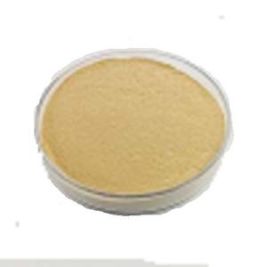 Nährhefe Hersteller volle <span class=keywords><strong>Vitamin</strong></span> B Aminosäure Glutamin säure reiche Nukleotide vegane Nahrungs ergänzungs mittel Hefe pulver - Product Image 2