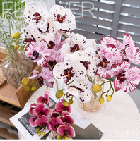 Anggrek Phalaenopsis Buatan 5 Tangkai Beraroma, Semprotan Anggrek Palsu Wangi untuk Dekorasi Pernikahan, Vas Rumah DIY Dekorasi Mewah