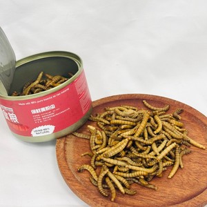 Vers de farine préservés durables, appâts naturels parfumés, leurres de pêche prêts à l'emploi, appâts frais pour les pêcheurs professionnels et les magasins. - Product Image 4