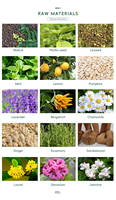 Minyak Wintergreen Metil Salisilat Kemasan Grosir 25kg, Metil Salisilat Kelas Kosmetik, Produsen Minyak Atsiri Metil Salisilat dalam Jumlah Besar