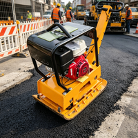 Compacteur à plaques vibrantes multifonctionnel à double sens pour l'installation de pavés emboîtables
