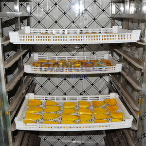 Secador de Bomba de Calor con Temperatura Ajustable, Equipo de Secado de Plátanos, Mangos, Naranjas y Melocotones, Máquina Deshidratadora de Frutas - Product Image 4