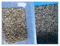 Wenyao Hete Nieuwe Producten Rijst Soja Walnoot Cashew Pistache Noot Amandel Kleur Sorter Machine Wereldwijd Leverancier
