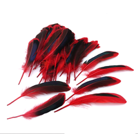 Plume de canard naturelle grise teinte pour artisanat d'art DIY coiffure chapeau accessoire de costume carnaval fête mariage maison Halloween décor