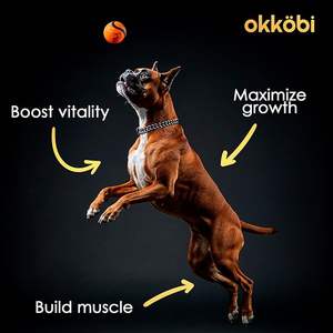 OEM ODM Golosinas saludables para cachorros Perros adultos Premium Muscle Builder Ganancia muscular Power Chews Suplemento para perros de alta proteína - Product Image 2