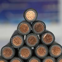 Stromkabel 16mm² 25mm² 35mm² 50mm² 70mm² 3-adrig Armiert mit Kupferleiter PVC/XLPE Isoliert
