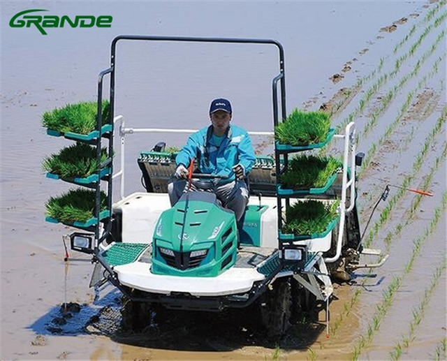 Farm for 6-Row Rice Transplanting Machine Paddy Transplanter Gasoline Engine Gearbox & Pump High Productivity New