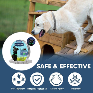 Nouveau collier anti-puces et <span class=keywords><strong>tiques</strong></span> 2026 pour chiens de plus de 8 kg – Traitement et prévention, <span class=keywords><strong>protection</strong></span> de 8 mois recommandée par les vétérinaires pour chiens et chats - Product Image 2