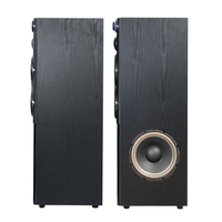 Double caisson de basses 10 ''de haute qualité 2.0 haut-parleur de tour de cinéma maison système Audio exclusif haut-parleur de scène Audio actif professionnel